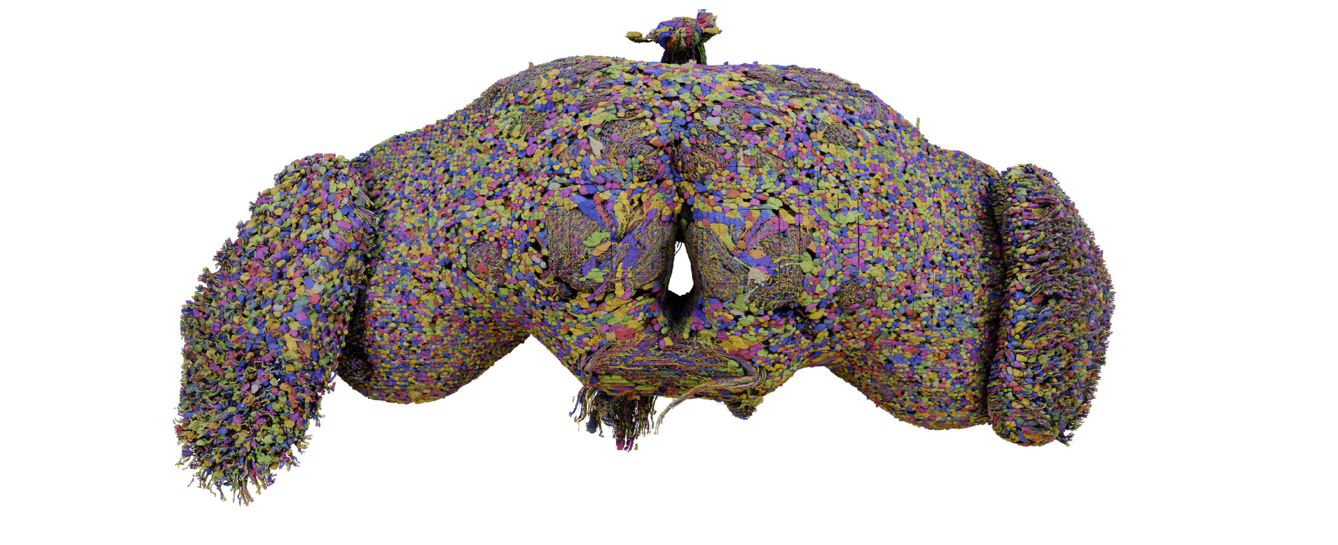 Drosophila Brain Connectome